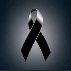 Meet your Posher, Chanitza